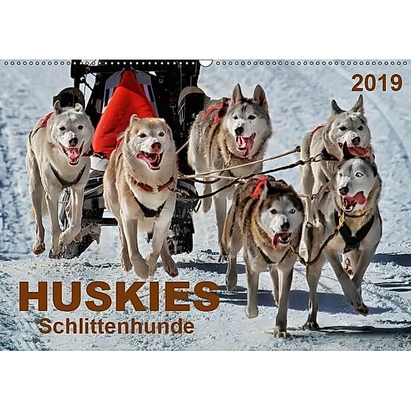 Huskies - Schlittenhunde (Wandkalender 2019 DIN A2 quer), Peter Roder