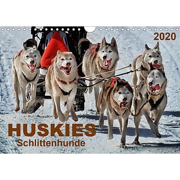 Huskies - Schlittenhunde (Wandkalender 2020 DIN A4 quer), Peter Roder