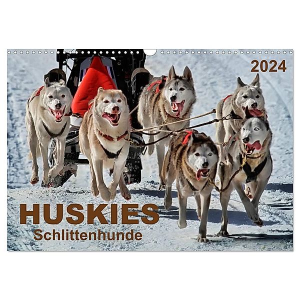 Huskies - Schlittenhunde (Wandkalender 2024 DIN A3 quer), CALVENDO Monatskalender, Peter Roder