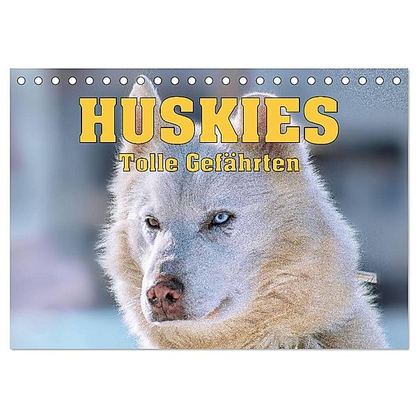 Huskies - Tolle Gefährten (Tischkalender 2025 DIN A5 quer), CALVENDO Monatskalender, Calvendo, Liselotte Brunner-Klaus