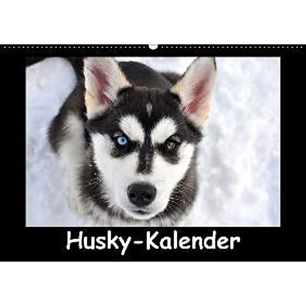 Husky-Kalender (Wandkalender 2014 DIN A4 quer), andiwolves