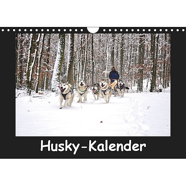 Husky-Kalender (Wandkalender 2019 DIN A4 quer), andiwolves