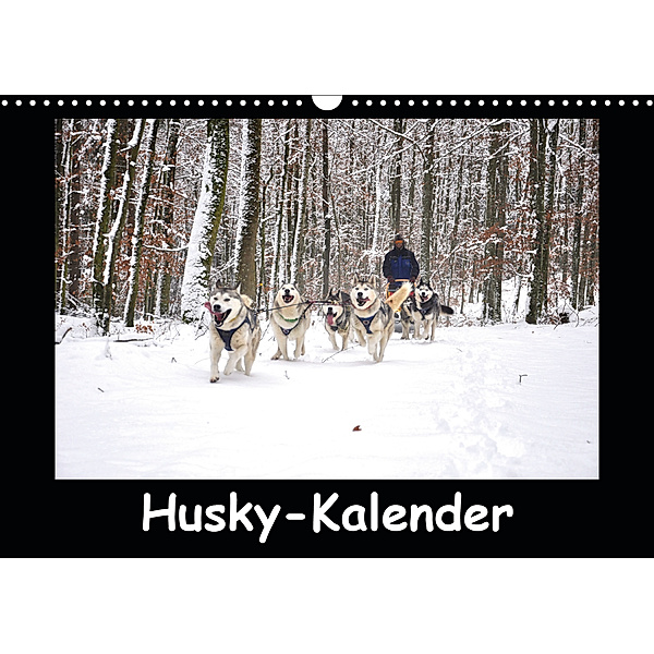 Husky-Kalender (Wandkalender 2020 DIN A3 quer)