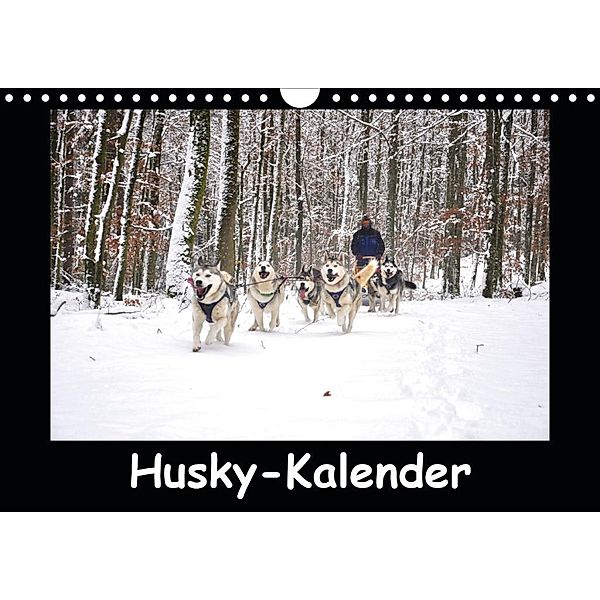 Husky-Kalender (Wandkalender 2020 DIN A4 quer)