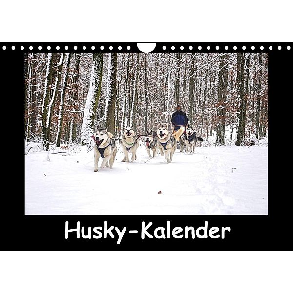 Husky-Kalender (Wandkalender 2022 DIN A4 quer), andiwolves