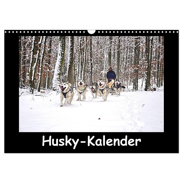 Husky-Kalender (Wandkalender 2024 DIN A3 quer), CALVENDO Monatskalender, andiwolves