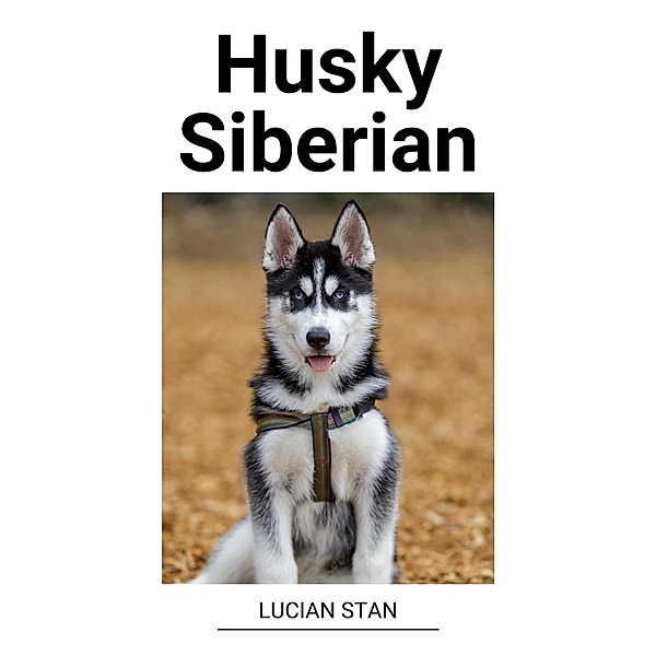 Husky Siberian, Lucian Stan