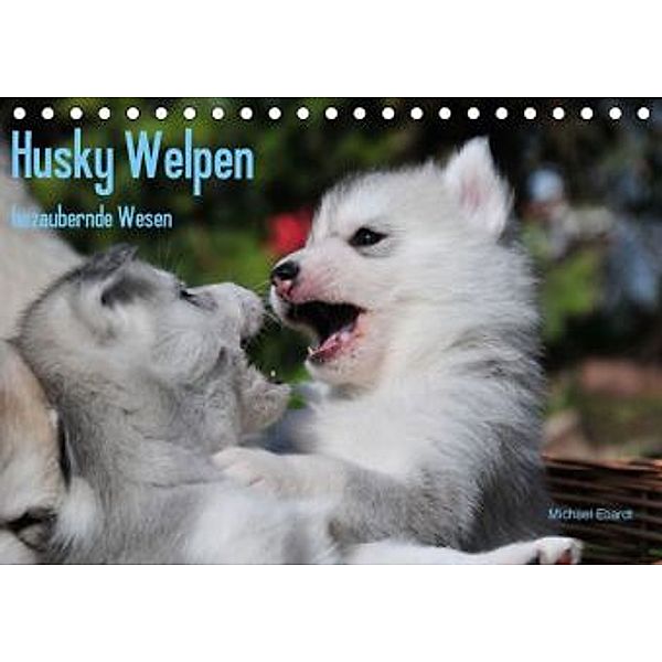 Husky Welpen (Tischkalender 2016 DIN A5 quer), Michael Ebardt