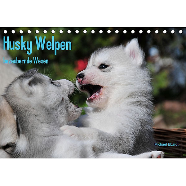 Husky Welpen (Tischkalender 2020 DIN A5 quer), Michael Ebardt