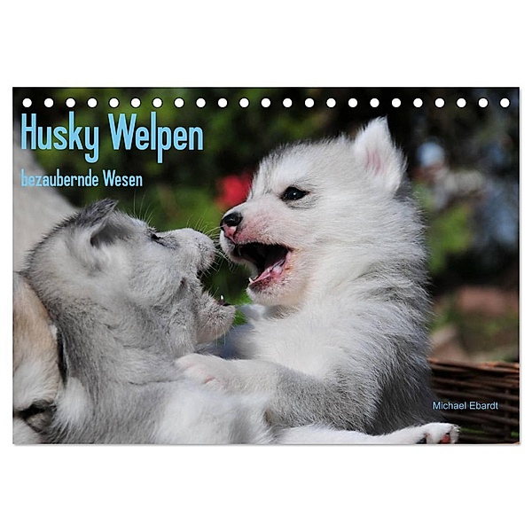 Husky Welpen (Tischkalender 2024 DIN A5 quer), CALVENDO Monatskalender, Michael Ebardt