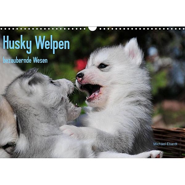 Husky Welpen (Wandkalender 2023 DIN A3 quer), Michael Ebardt