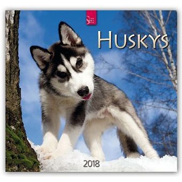 Huskys 2018