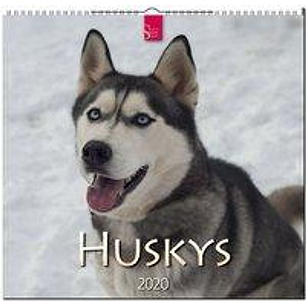 Huskys 2020