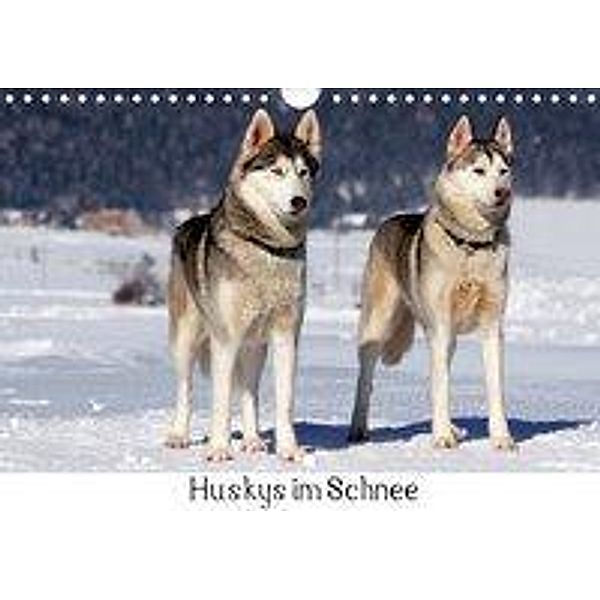 Huskys im Schnee (Wandkalender 2020 DIN A4 quer), Katrin Zeller & Christian Kiedy