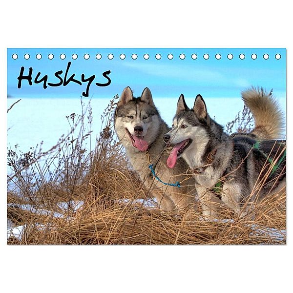 Huskys (Tischkalender 2024 DIN A5 quer), CALVENDO Monatskalender, Jens Kalanke