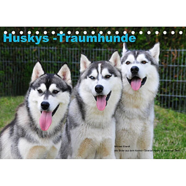 Huskys - Traumhunde (Tischkalender 2022 DIN A5 quer), Michael Ebardt