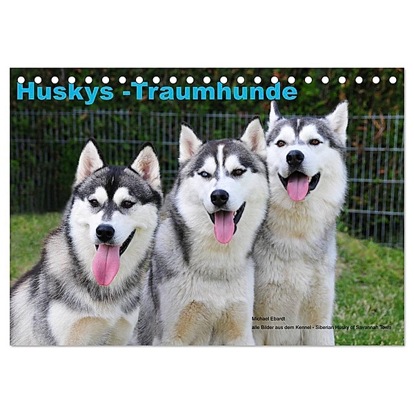 Huskys - Traumhunde (Tischkalender 2024 DIN A5 quer), CALVENDO Monatskalender, Michael Ebardt