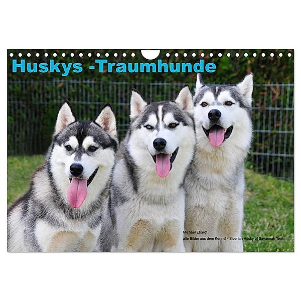 Huskys - Traumhunde (Wandkalender 2024 DIN A4 quer), CALVENDO Monatskalender, Michael Ebardt