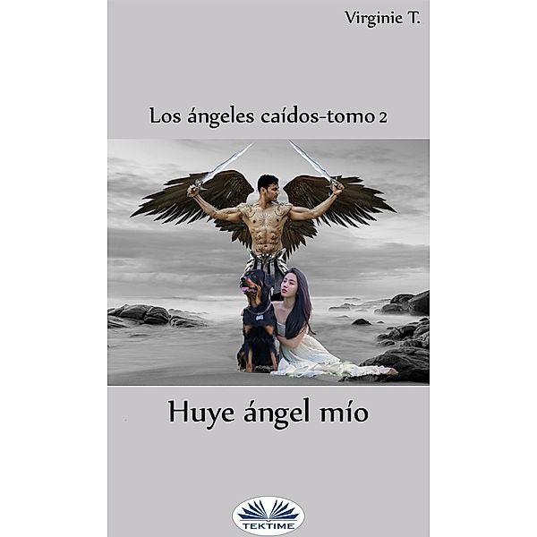 Huye, Ángel Mío / Los ángeles caídos Bd.2, Virginie T.