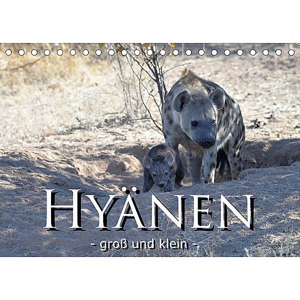 Hyänen - groß und klein (Tischkalender 2022 DIN A5 quer), Robert Styppa