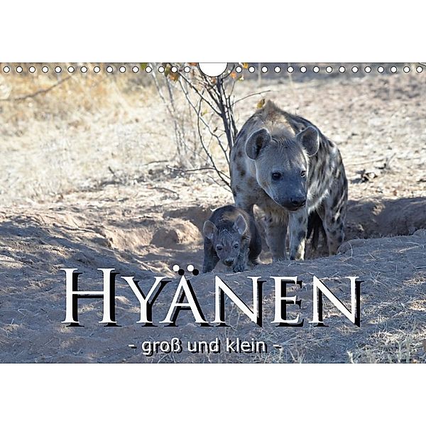 Hyänen - groß und klein (Wandkalender 2020 DIN A4 quer), Robert Styppa