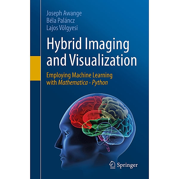 Hybrid Imaging and Visualization, Joseph Awange, Béla Paláncz, Lajos Völgyesi