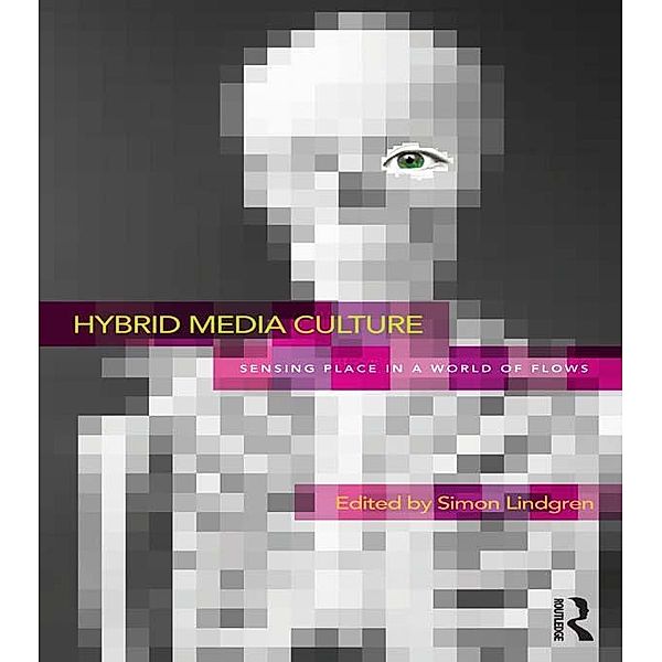 Hybrid Media Culture / Routledge Advances in Sociology