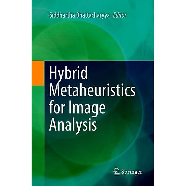 Hybrid Metaheuristics for Image Analysis