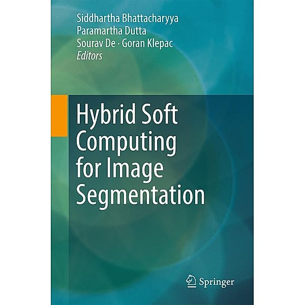 Hybrid Soft Computing for Image Segmentation