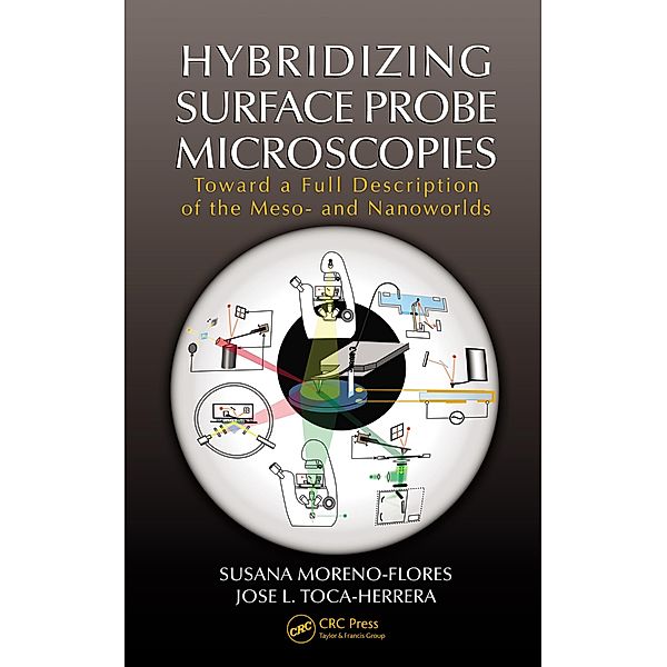 Hybridizing Surface Probe Microscopies, Susana Moreno-Flores, Jose L. Toca-Herrera