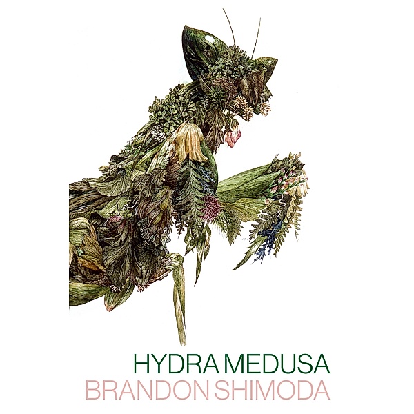 Hydra Medusa, Brandon Shimoda