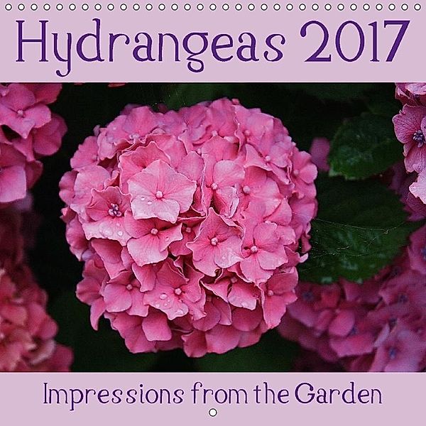 Hydrangeas 2017 - Impressions from the Garden (Wall Calendar 2017 300 × 300 mm Square), N N