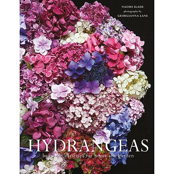 Hydrangeas, Naomi Slade
