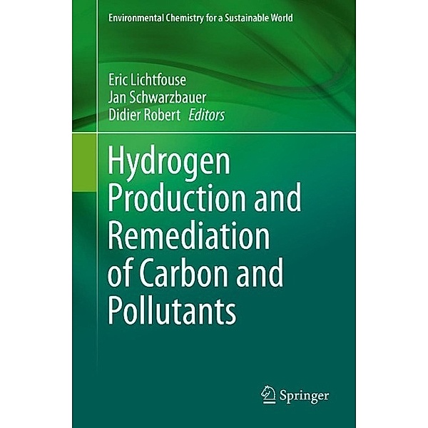 Hydrogen Production and Remediation of Carbon and Pollutants / Environmental Chemistry for a Sustainable World Bd.6