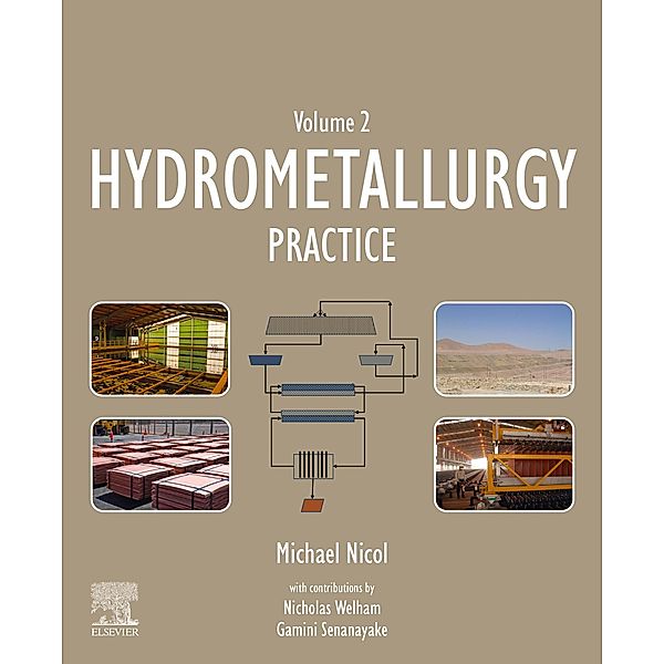 Hydrometallurgy, Michael Nicol