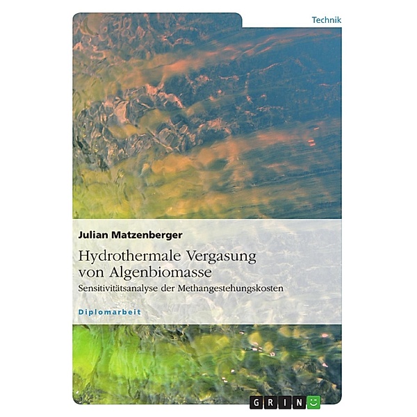 Hydrothermale Vergasung von Algenbiomasse, Julian Matzenberger