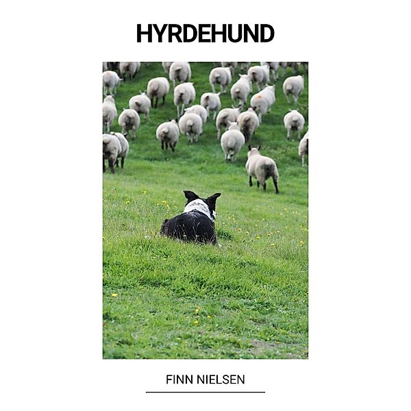 Hyrdehund, Finn Nielsen