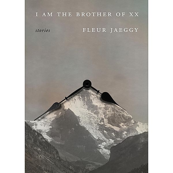 I Am the Brother of XX, Fleur Jaeggy