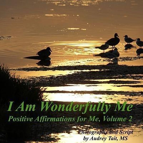 I Am Wonderfully Me / I Am Wonderfully Me Bd.2, Audrey Tait