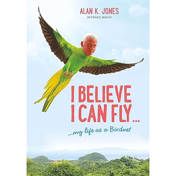 I Believe I Can Fly, Alan K Jones