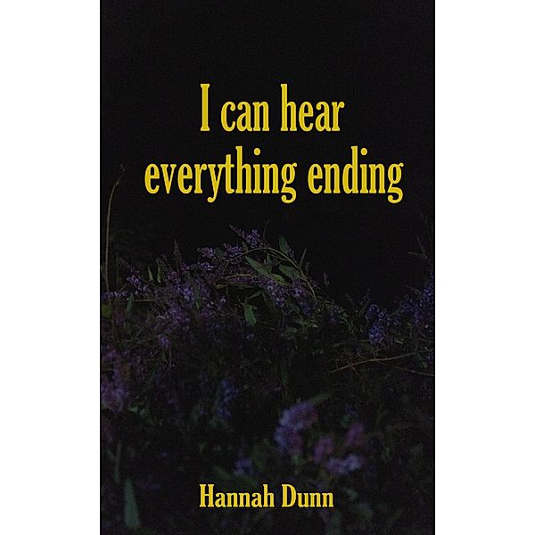 I Can Hear Everything Ending, Hannah Dunn
