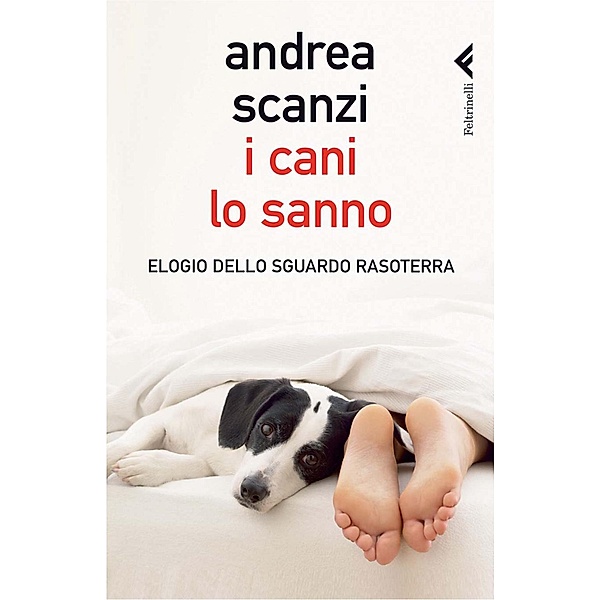 I cani lo sanno, Andrea Scanzi