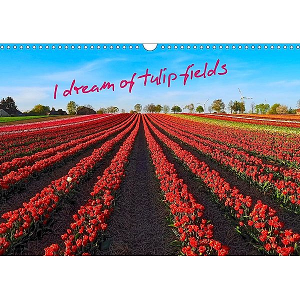 I dream of tulip fields (Wall Calendar 2021 DIN A3 Landscape), Marion Meyer @ Stimmungsbilder1