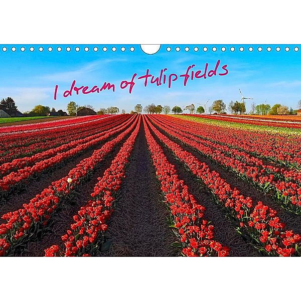 I dream of tulip fields (Wall Calendar 2021 DIN A4 Landscape), Marion Meyer @ Stimmungsbilder1