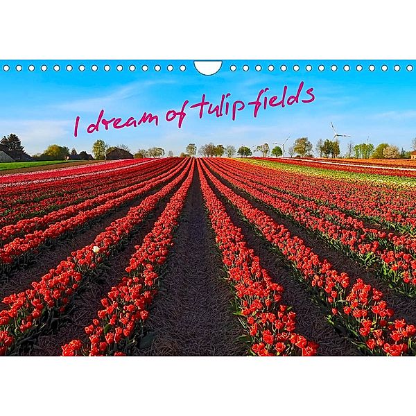 I dream of tulip fields (Wall Calendar 2023 DIN A4 Landscape), Marion Meyer @ Stimmungsbilder1