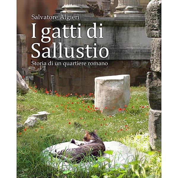 I gatti di Sallustio, Salvatore Algieri