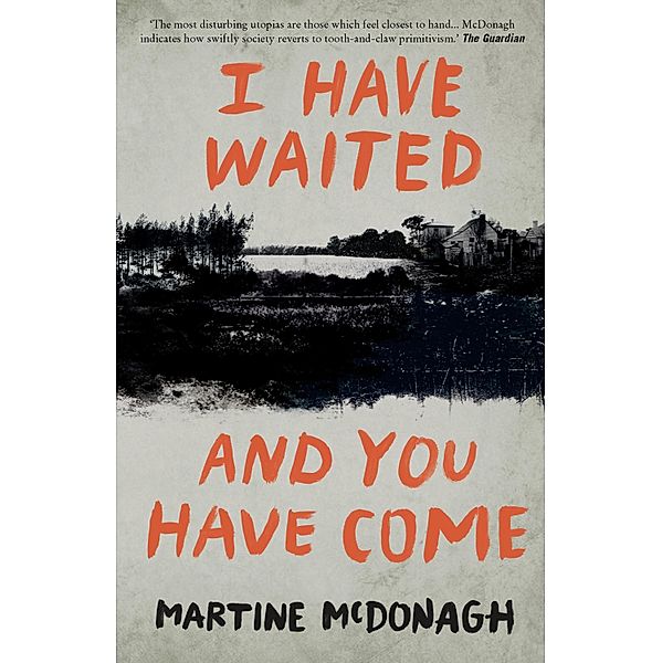 I Have Waited, and You Have Come, Martine Mcdonagh
