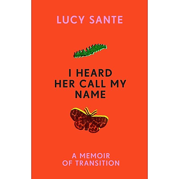 I Heard Her Call My Name, Lucy Sante