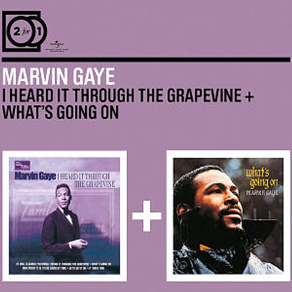 I Heard It Through The Grapevine, Marvin Gaye