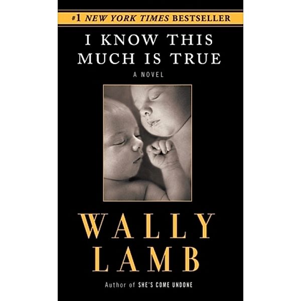 I Know This Much Is True, Wally Lamb